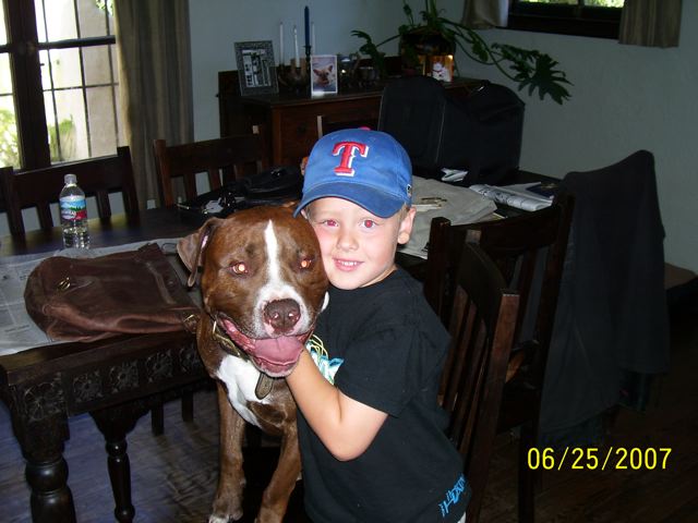 Fatal Dog Attacks And BSL